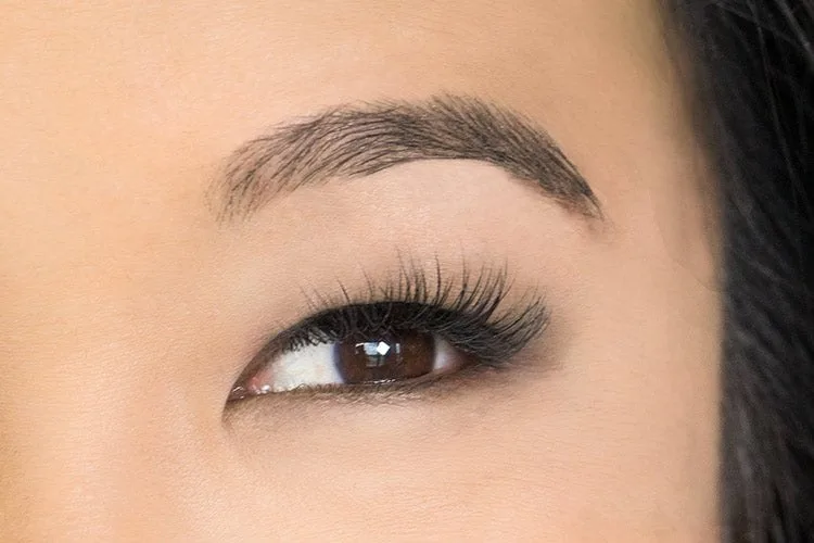Mandelaugen Nahaufnahme: Referenzfoto der Augenform für das Wimpern-Mapping