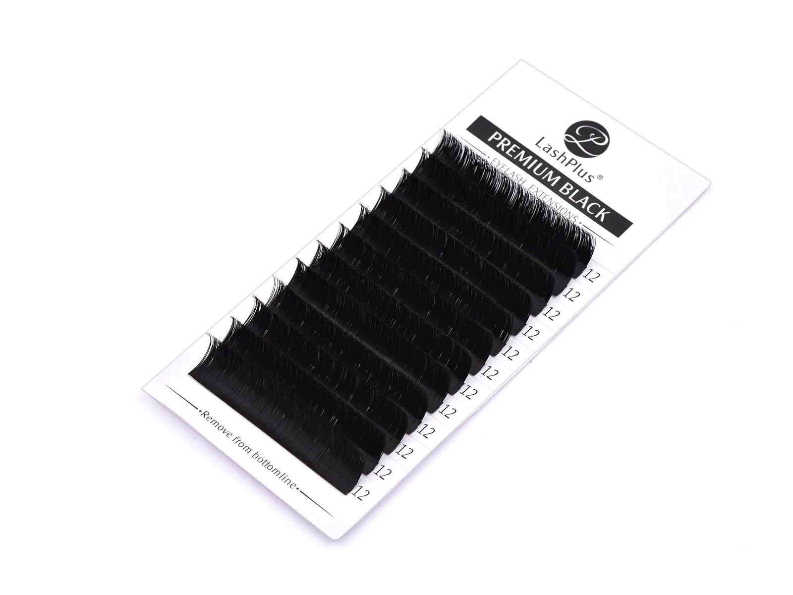 LashPlus Tray mit Easy-Fan Rapid-Blooming-Wimpern